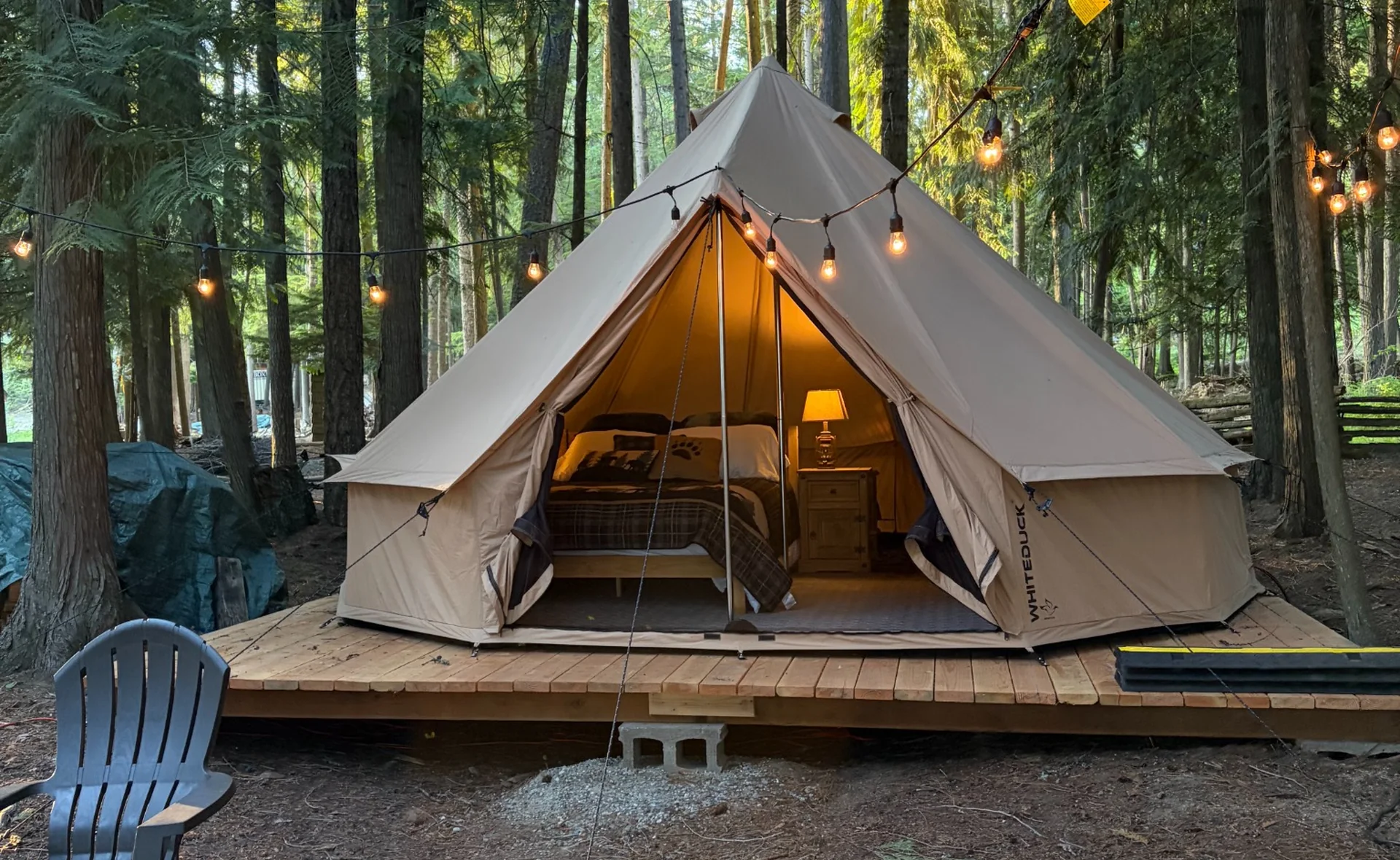 Canvas tent glowing beneath tall cedar trees